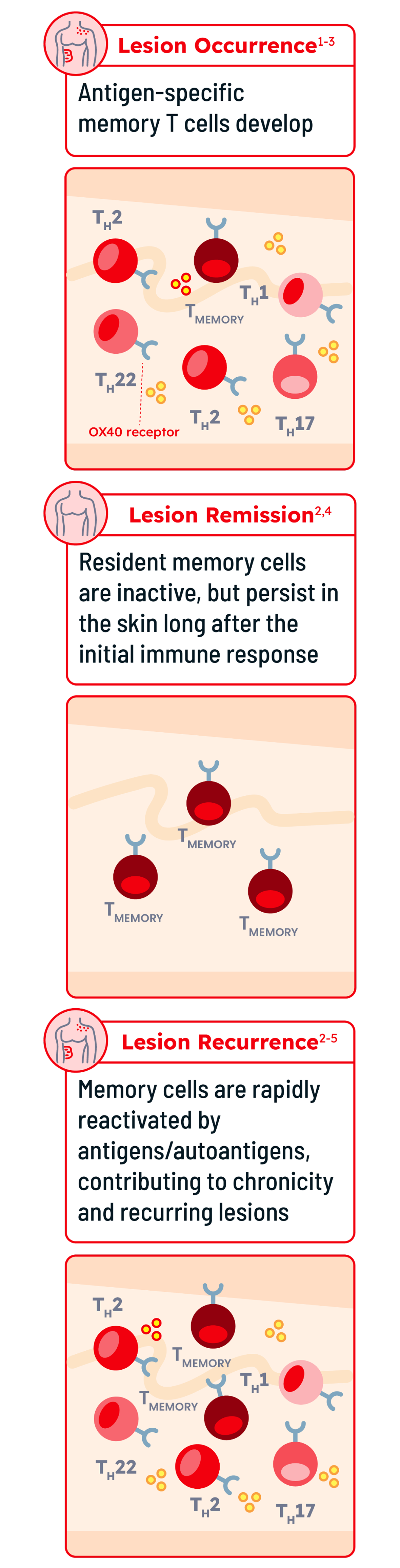 Lesion occurrence, lesion remission, and lesion recurrence